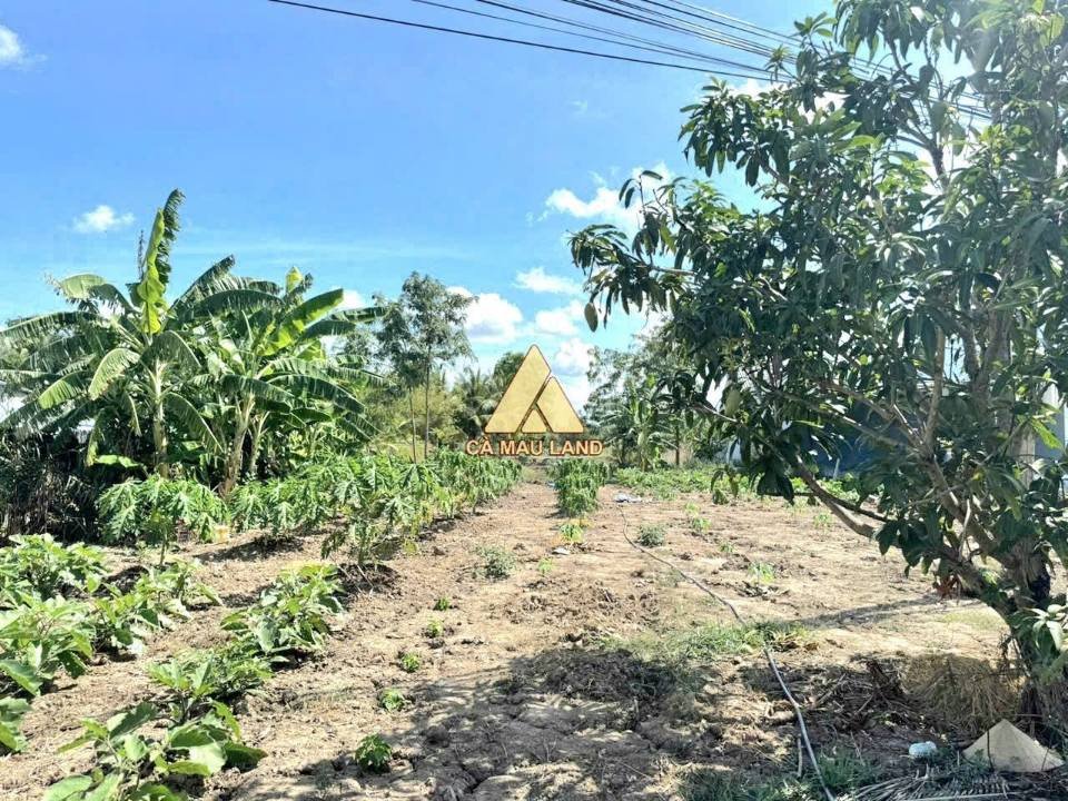 Đất Cà Mau siêu rộng, mặt tiền kênh chill chill