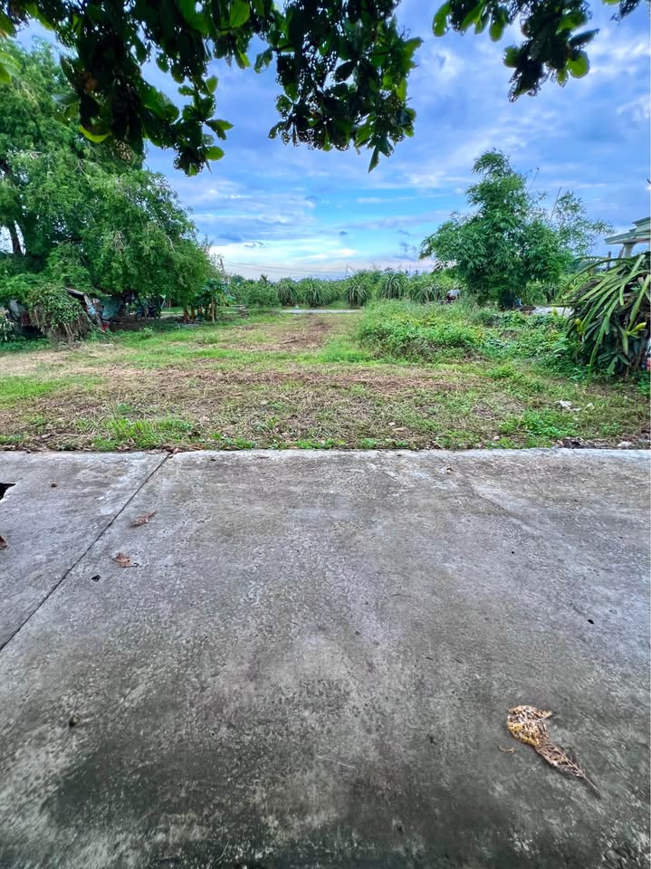 Đất vàng Hàm Hiệp 244m² thổ cư, mặt tiền rộng, an ninh tuyệt đối