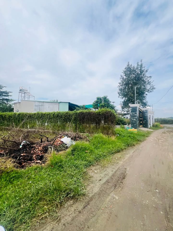 Khám phá cơ hội đầu tư sinh lời hấp dẫn tại trung tâm phường Gò Dầu, Tây Ninh