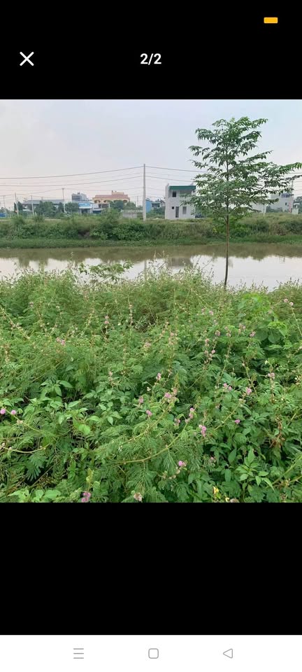 Đất vàng Kim Bảng, 96m2, mặt tiền 6m, hướng nam