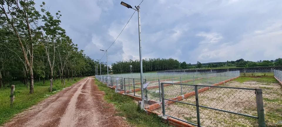 Đất xíu xiu 5mx28m, chốt ngay 189 triệu hết đất