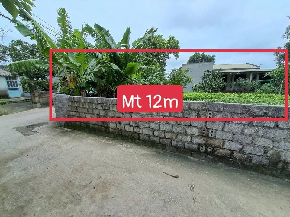 Đất vàng Quảng Hưng 216m2 mặt tiền 12m, giá hấp dẫn