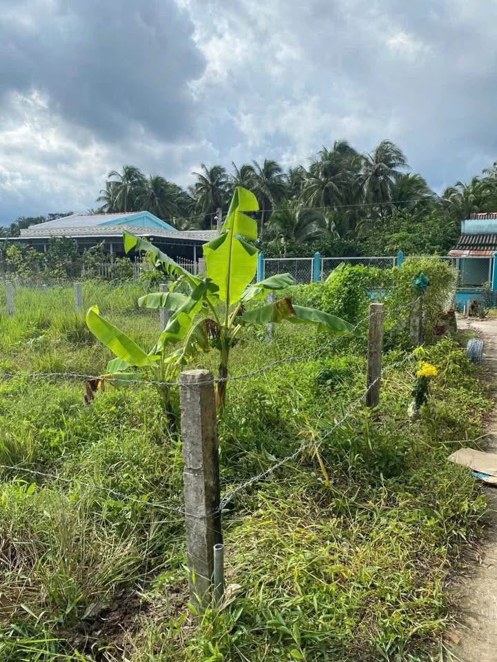 Bán gấp đất chính chủ 155,7m² tại Gò Công Tây, Tiền Giang, đường xe hơi tới đất