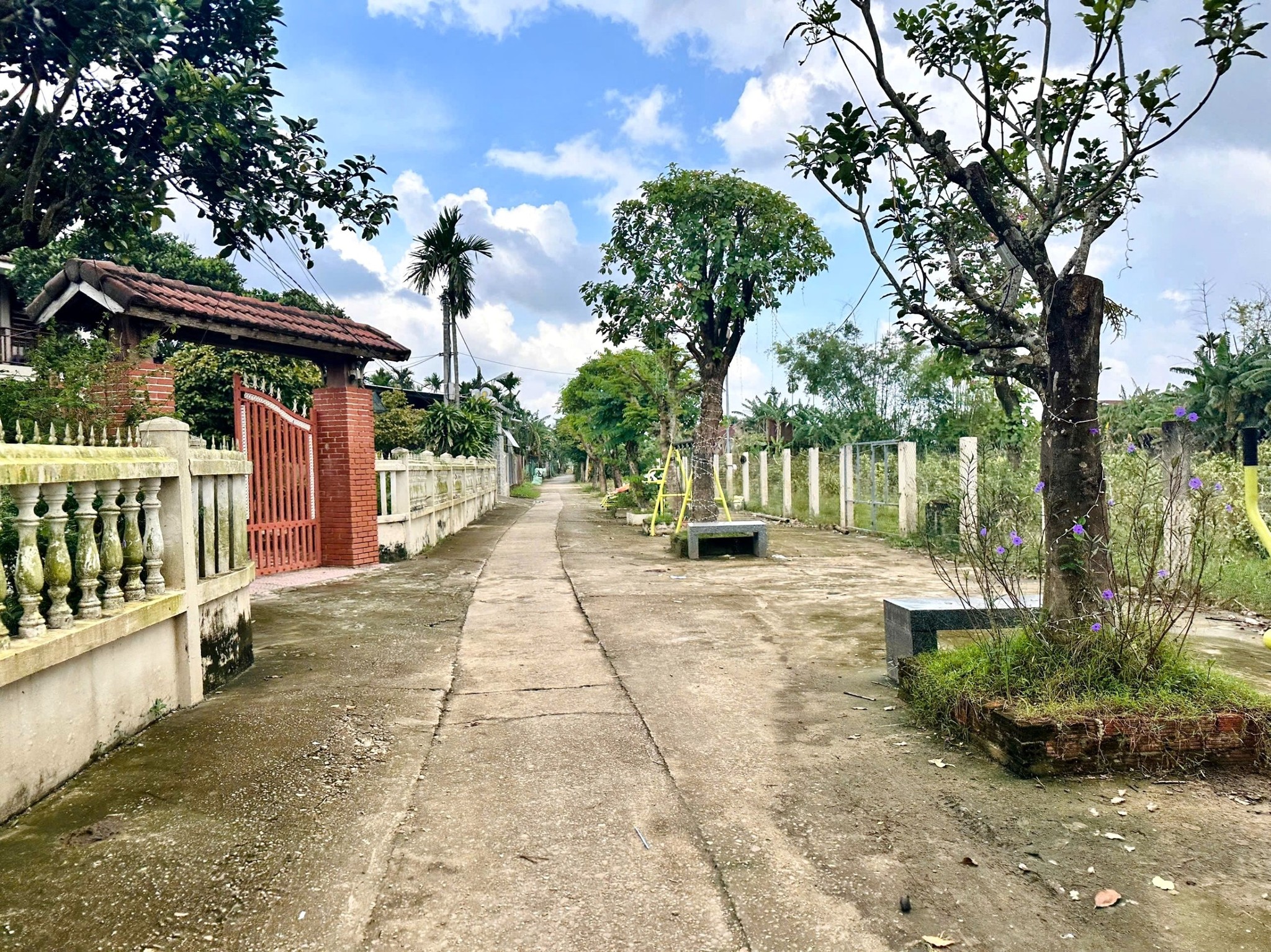 Bán đất vườn 186m2 Điện Hồng, Quảng Nam, gần chợ Lạc Thành, giá 7xx triệu