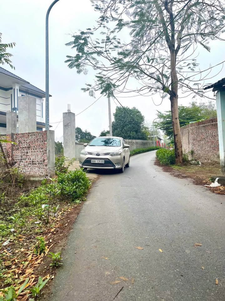 Bán nhanh 2 lô đất vàng gần khu công nghiệp Tam Dương, Vĩnh Phúc, giá cắt lỗ cực sốc