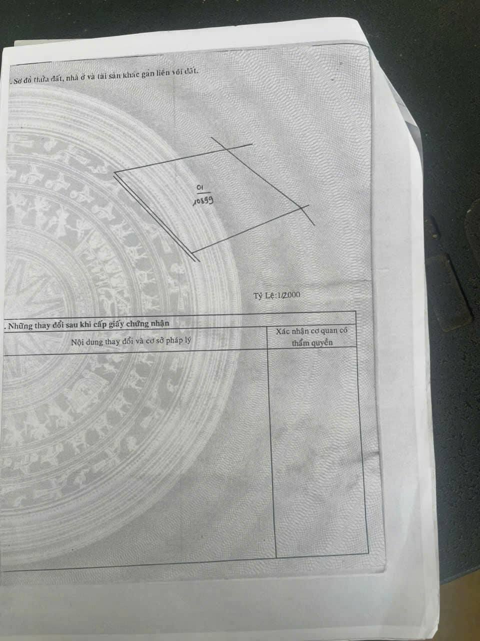 Đất vàng Lâm Hà 1 hecta sổ đỏ sẵn sàng, giá chỉ 300 triệu/sào