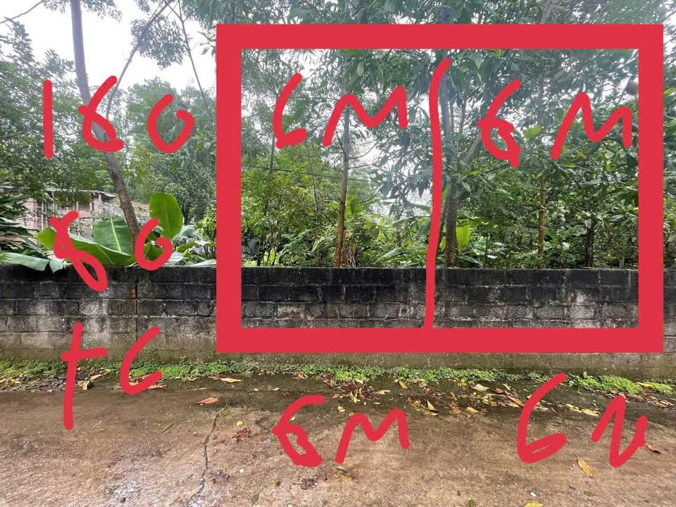 Đất vàng Tân Long, 160m² vuông vắn, mặt tiền 6m, giá chỉ 499 triệu