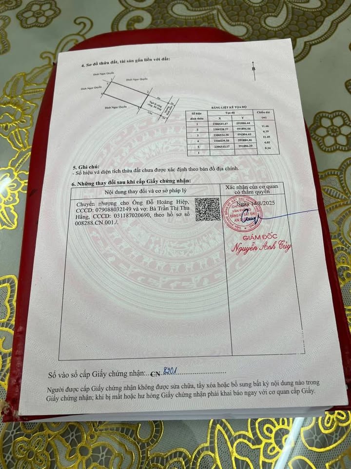 Đất vàng Bạch Mai, Hải Phòng - Đầu tư là thắng, lướt sóng là đỉnh