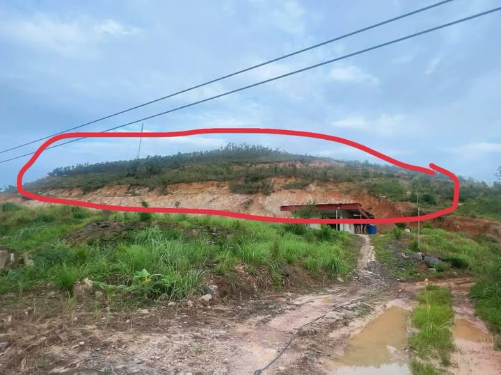 Đất rừng sản xuất 1.2ha - Ngay cao tốc Hạ Long - Vân Đồn - Giá Hời!