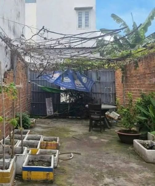 Bán đất 4x12m full thổ cư, 2 mặt hẻm xe hơi 4m, Phường Bình Hưng Hòa B, Bình Tân