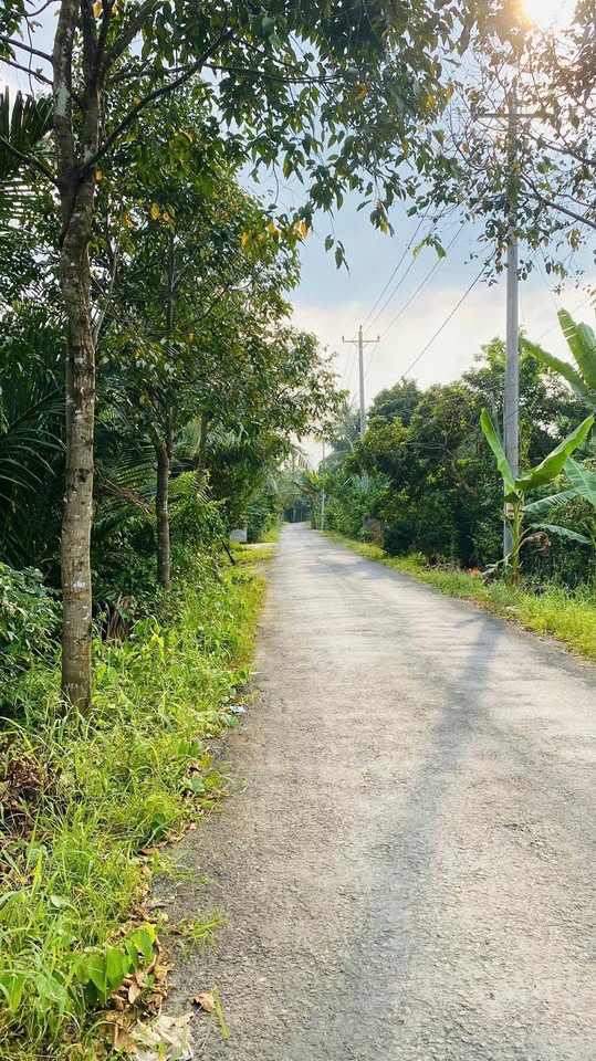 Đất mặt tiền lộ nhựa Nhơn Thạnh, Bến Tre, đầu tư sinh lời