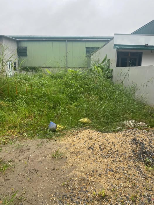 Bán đất lô góc siêu đẹp, mặt tiền 4,5m, hơn 3 tỷ tại Đại Lộ, Ninh Sở