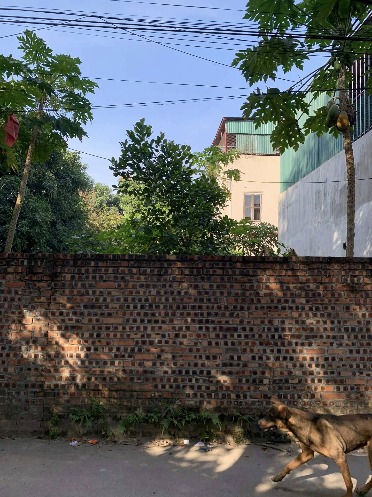 Đất Mai Nội, ô tô vào tận cổng, 90m2 full thổ cư, giá nét 4,2 tỷ