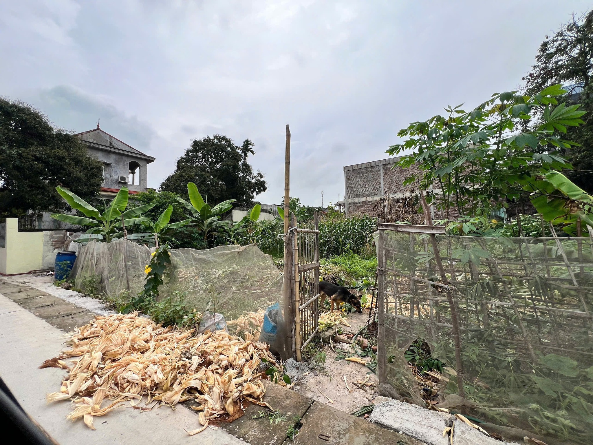 Bán đất thổ cư Kim Động, Hưng Yên, gần cao tốc, diện tích 354.5m2, giá đầu tư hấp dẫn