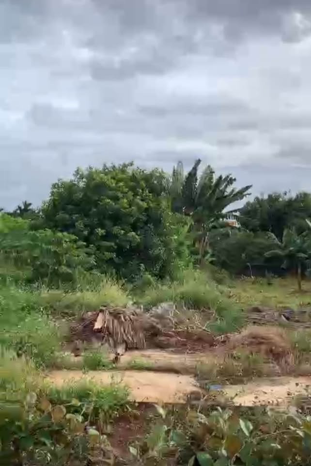 Đất Cư Mgar diện tích khủng, giá hời cho nhà đầu tư