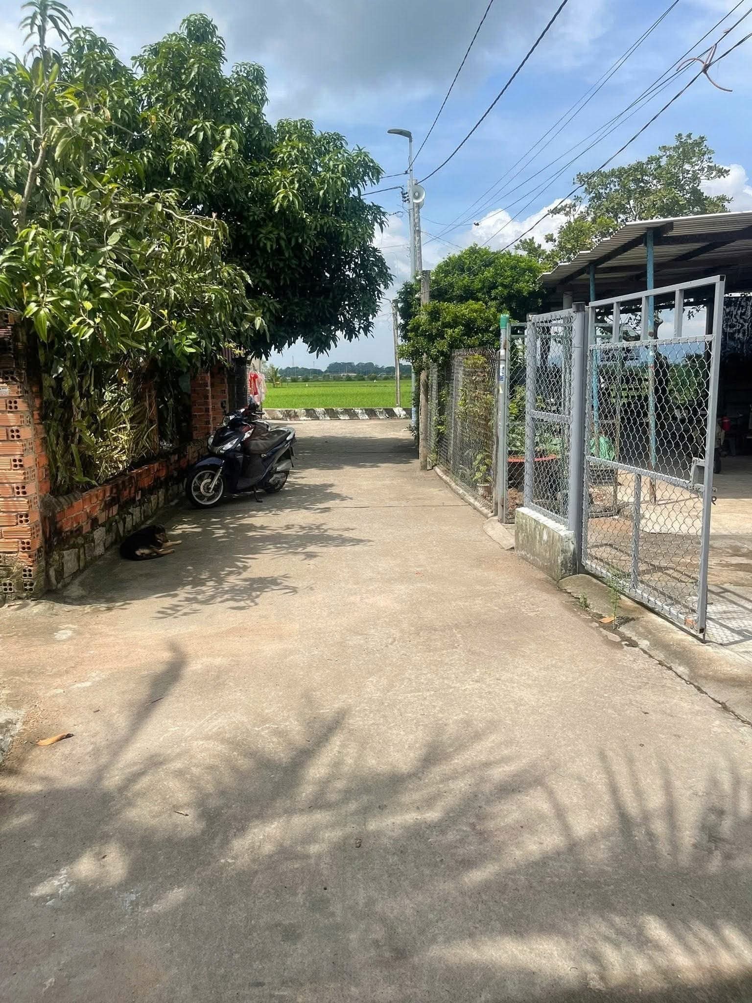 Đất An Nhứt, Long Điền, an cư lạc nghiệp với giá 750 triệu