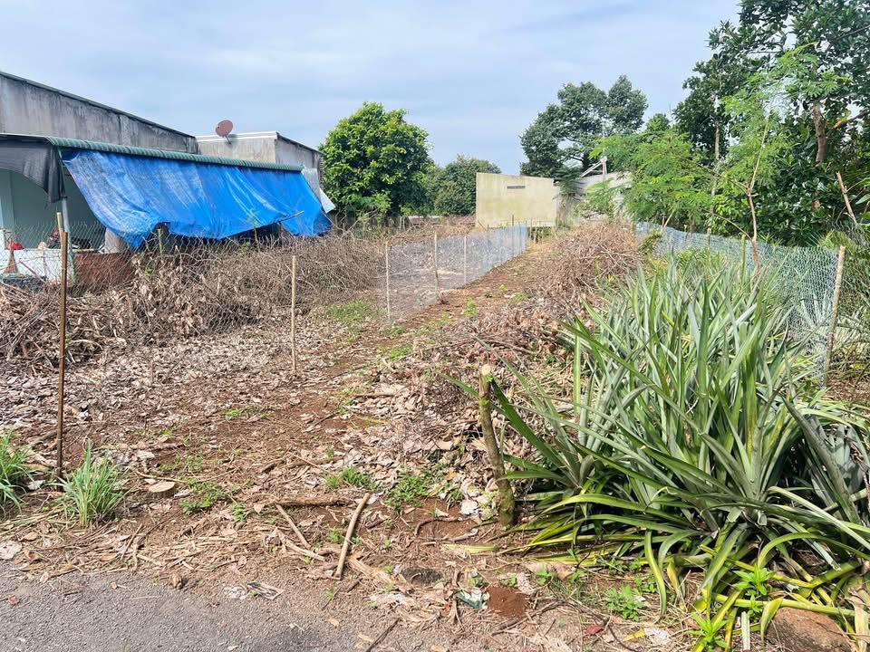 Đất đôi Phú Thịnh - Tân Phú 5x40m, full thổ cư, giá 380 củ/lô