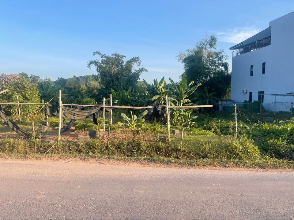 Bán đất 192m2 full thổ cư, vị trí đắc địa Quốc lộ 279, Long Sơn cũ