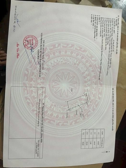 Bán lô đất nhà vườn siêu đẹp tại Hòa Xuân, giá chỉ 750 triệu