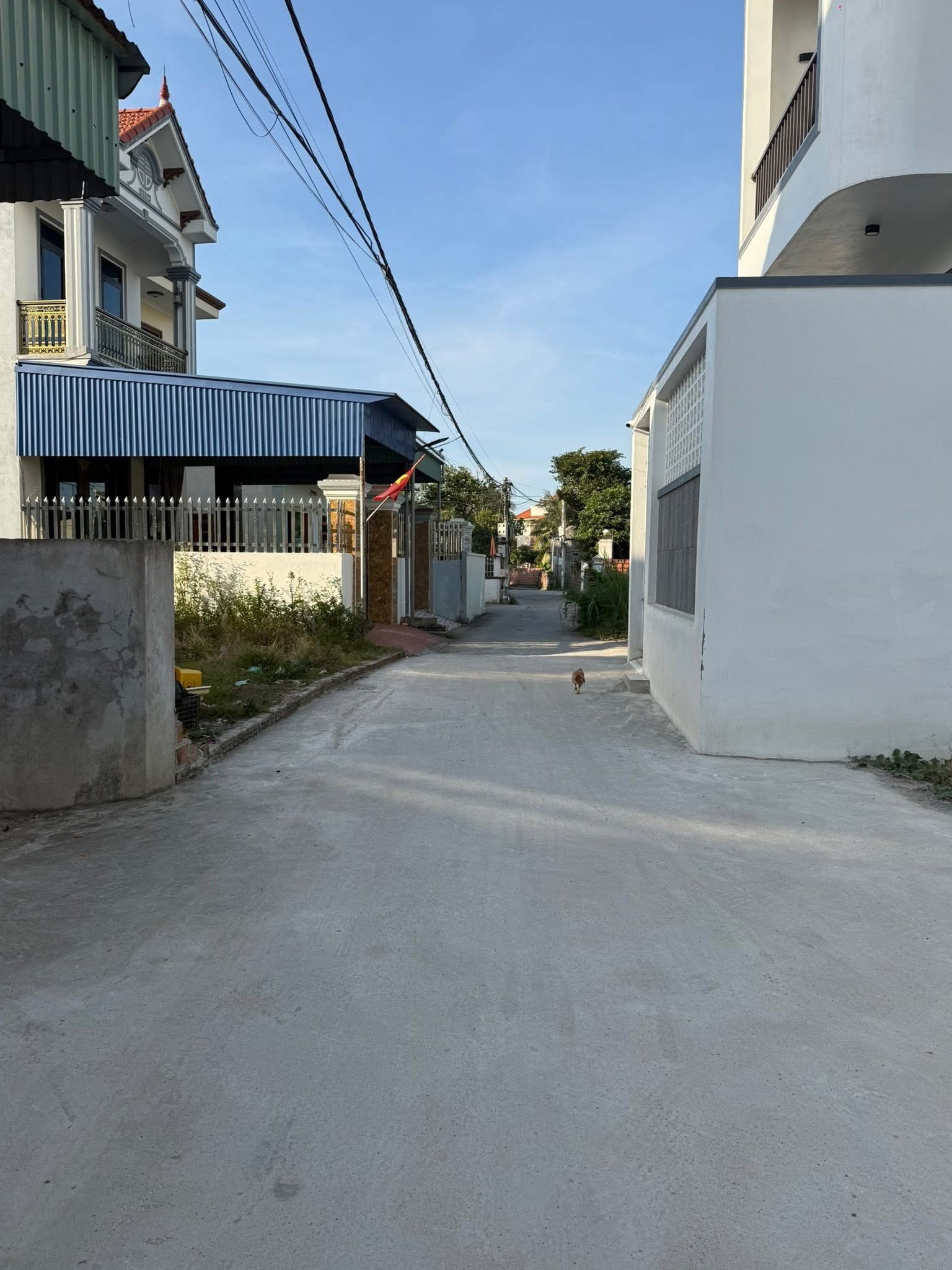 Đất vàng Thủy Nguyên lô đẹp đường thông, giá hời