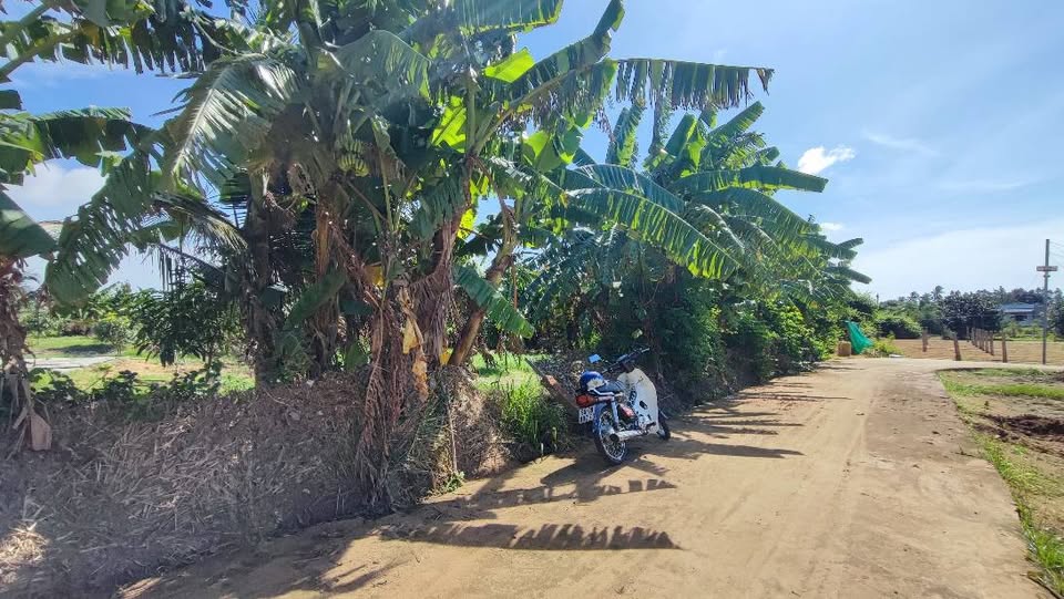 Đất 1000m2 mặt tiền bê tông, đường ô tô tới đất, giá 950 triệu bao sổ