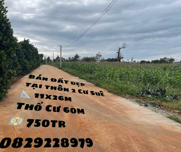 Đất vàng thôn 2 Cư Suê diện tích khủng, sẵn sàng chờ chủ mới