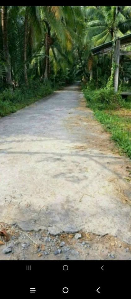 Đất Phú Hưng, Bến Tre, cơ hội vàng cho nhà đầu tư thông minh