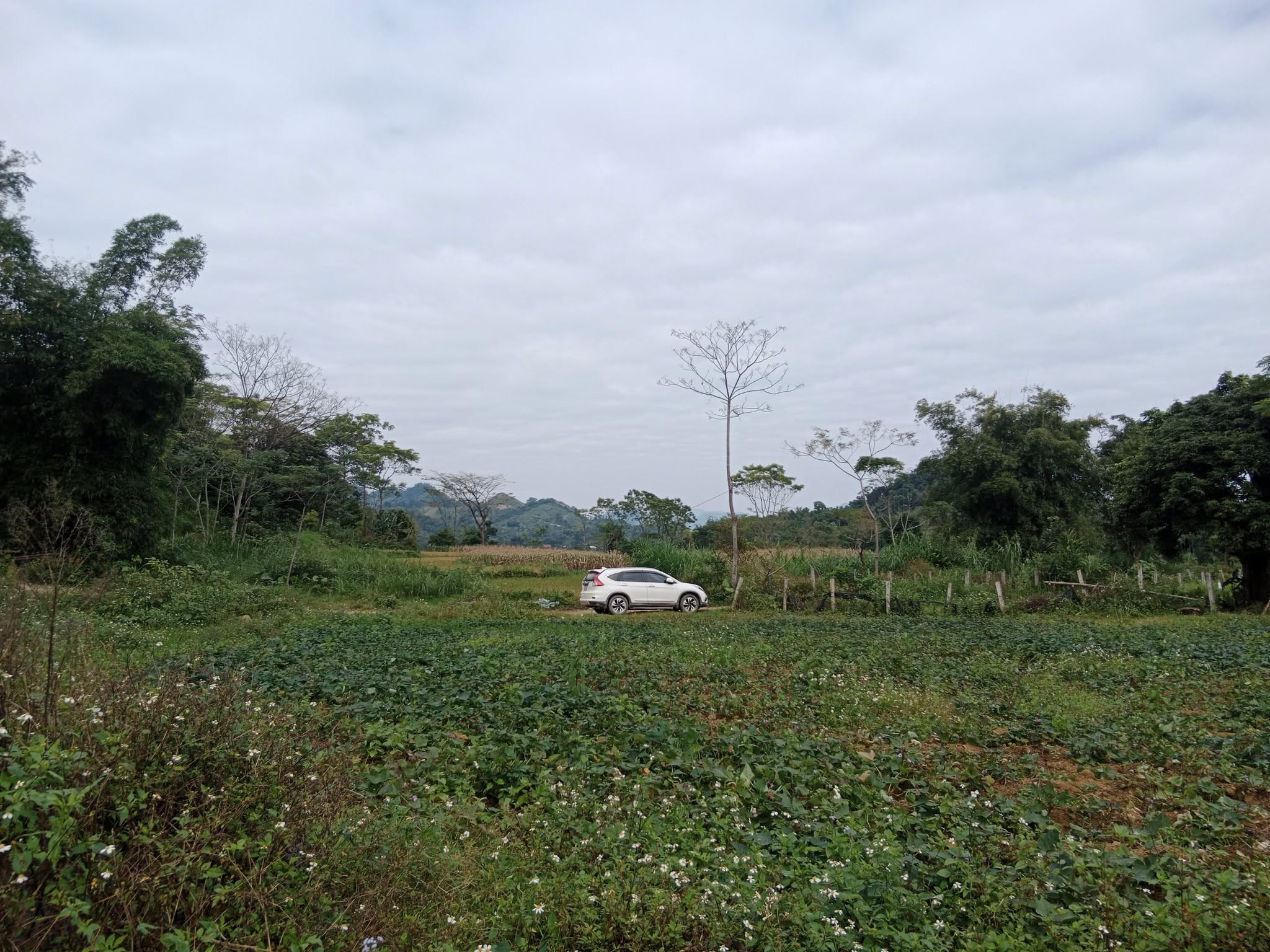 Đất Mai Châu 6000m2 - Homestay "triệu view" giá hời, làm giàu không khó