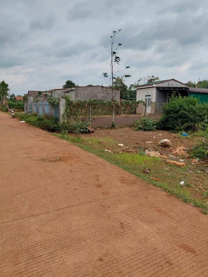 Đất vàng Tỉnh Lộ 8 - Nơi an cư lý tưởng