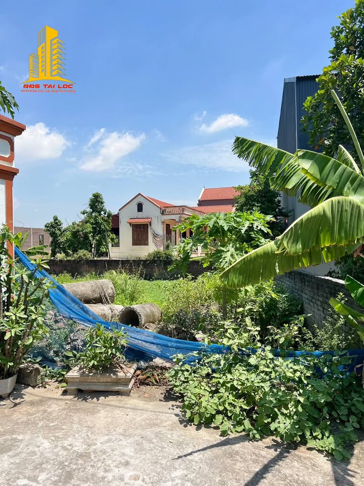 Đất nở hậu Đông Hoa sổ đỏ 127,7m2