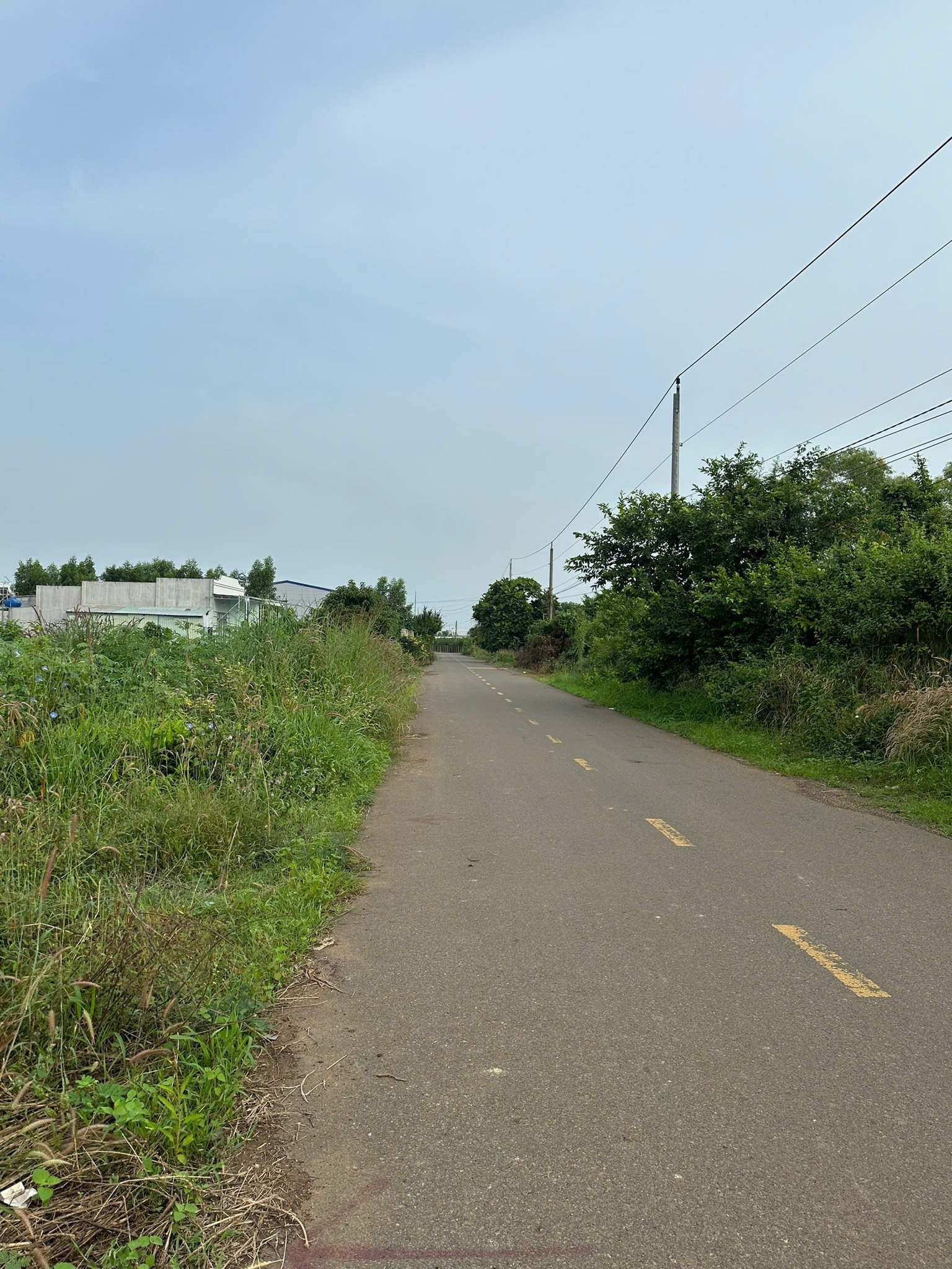 Lạc bước trên con đường nhựa Long Tân trải dài, nơi có mảnh đất Đỏ, Bà Rịa - Vũng Tàu đang chờ đón chủ nhân