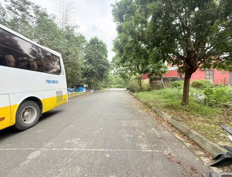 Bán đất ku quy hoạch Cầu Lim, Thừa Thiên Huế, mặt tiền Bùi Viện, 244m²