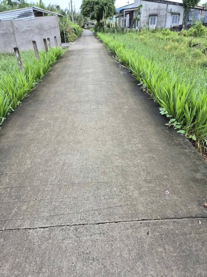 Đất Vĩnh Công, Tây Ninh, 8 nền hàng khủng giá mềm, đường xe hơi vi vu