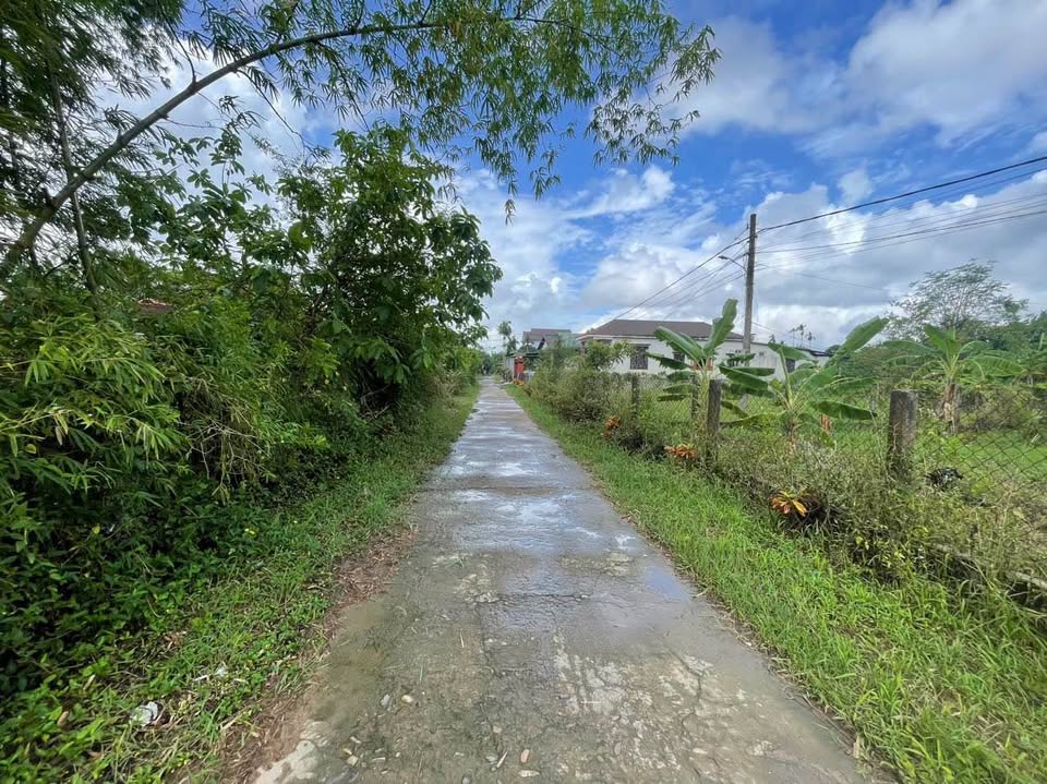 Mảnh đất vàng tại Thanh An, sát Cầu Sòng - cơ hội đầu tư sinh lời không thể bỏ lỡ