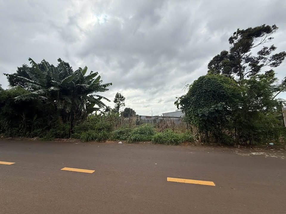 Đất vàng mặt tiền A5 250m² trung tâm Buôn Ma Thuột, sẵn sàng sinh lời