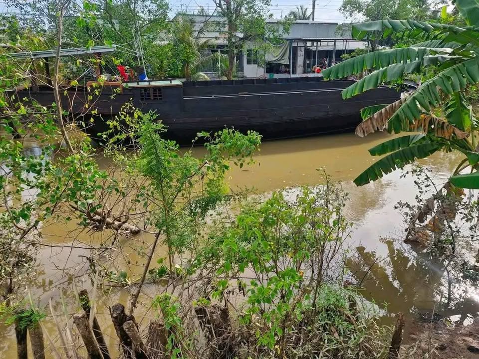 Chào mừng quý vị đến với một chốn điền viên an yên tại Bình Hàng Trung, Chợ Lách, Bến Tre