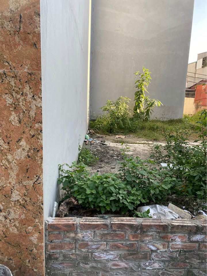 Bán gấp lô đất vuông vắn tại Đức Thượng, Hoài Đức, Hà Nội