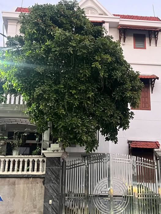 Đất vàng Giếng Đáy, 242m2 tặng nhà 3 tầng, ô tô tránh, chốt ngay kẻo lỡ