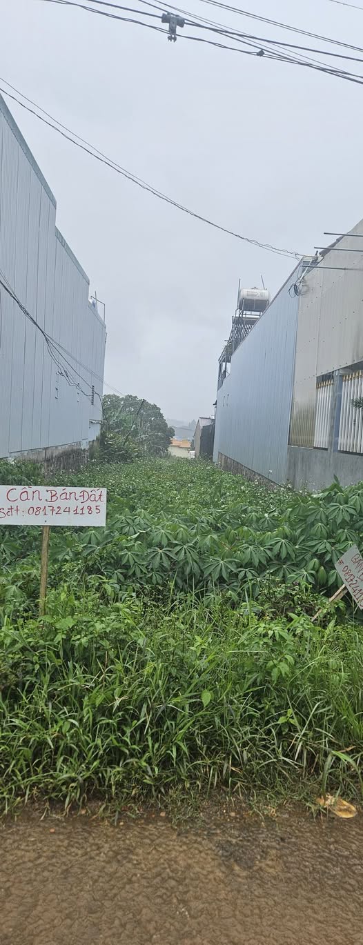 Bán đất Lê Thị Pha, Đức Trọng, sổ đỏ sẵn sàng, đường thông thoáng