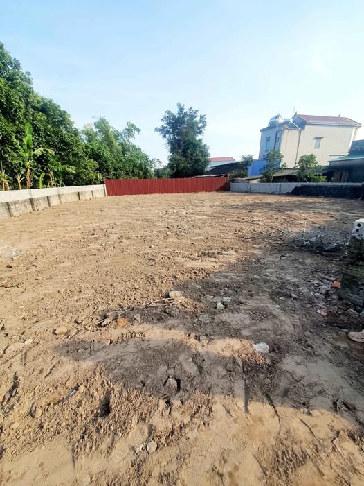 Bán đất 600m² mặt tiền 6.2m tại Đại An, Vụ Bản, Nam Định, giá 6.5 triệu/m²