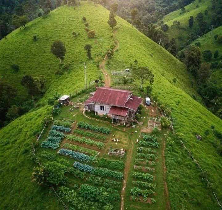 Bán đất vườn 4524m² ôm suối mặt tiền 131m tại Tân Uyên, Bình Dương giá tốt