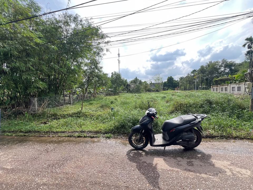 Đất mặt tiền đường Phạm Đình Toái, Huế - Đầu tư an cư siêu đỉnh