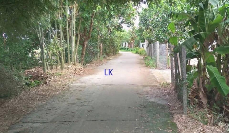 Bán nền 280m² siêu rẻ tại Mỹ Thọ, Đồng Tháp - Cơ hội đầu tư sinh lời