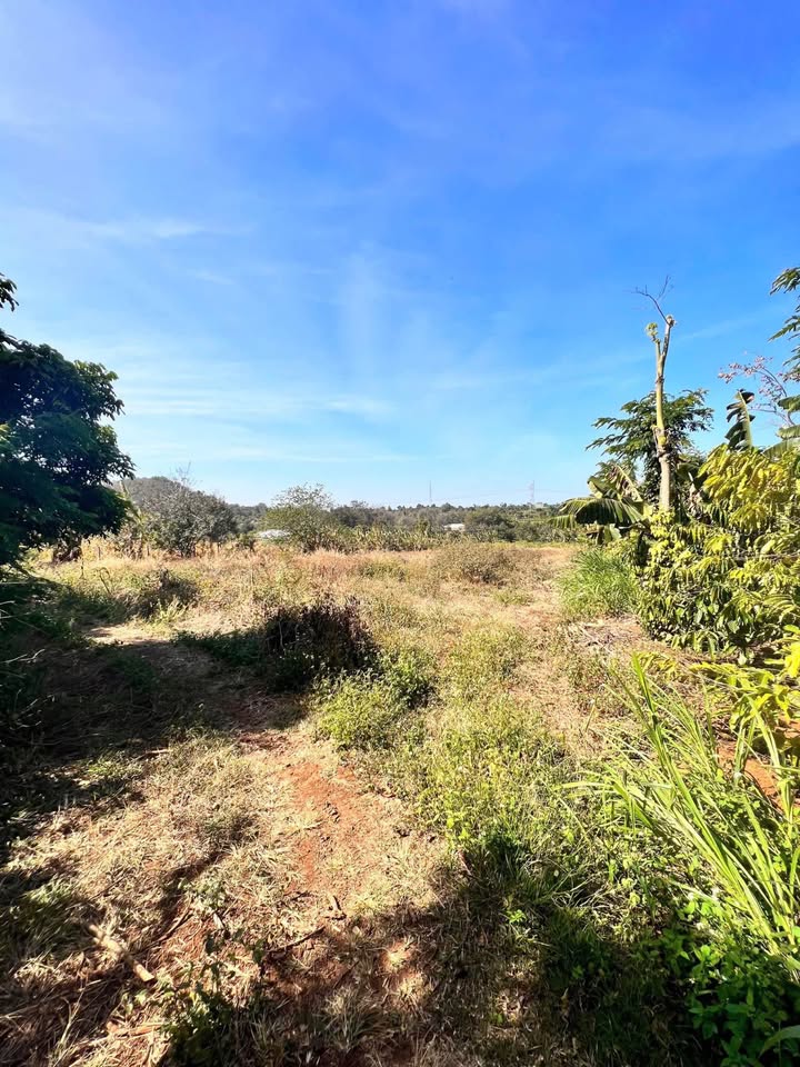 4,2 Sào đất vành đai 10/3, trung tâm Buôn Ma Thuột, giáp suối, tiềm năng sinh lời khủng