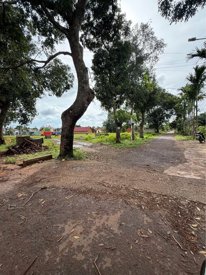 Đất N7 Eatu 5x42m, 60m2 thổ cư, giá 1.49 tỷ, đầu tư là thắng