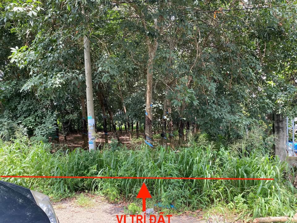 Đất thổ cư trung tâm phường Tân Thành, 10m x 40m, giá tốt