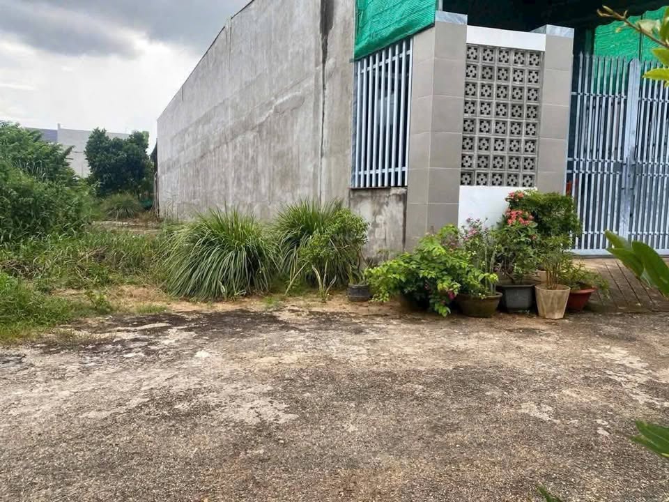 Bán gấp đất Hoa Long, phường Tam Long, gần TL52 - 1.59 tỷ