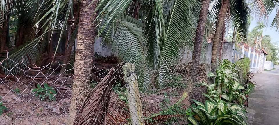 Đất vàng Mỹ Tho 3313m2 tiềm năng phân lô 28 nền, giá 12 tỷ