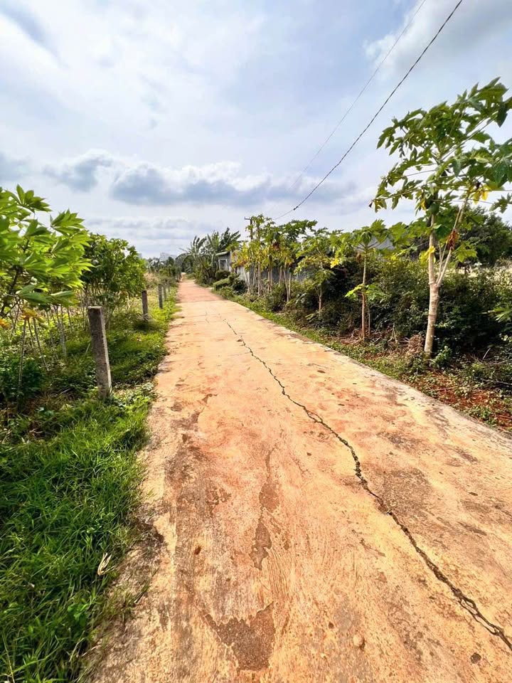 Bán đất vàng 10m x 50m hẻm cấp 1 Nguyễn Tri Phương nối dài, tiềm năng sinh lời khủng