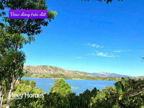 Vườn cà phê triệu đô giáp hồ, thu nhập khủng, xe hơi tới tận nơi